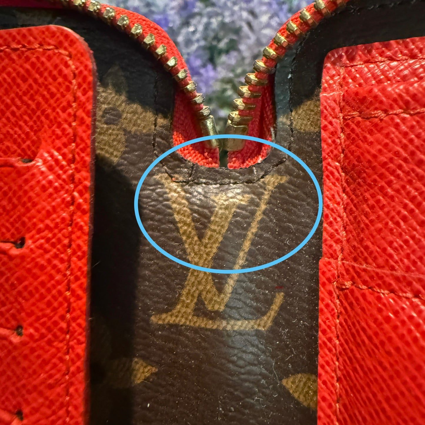 Daily Organizer Clutch Wallet in Cherry Red