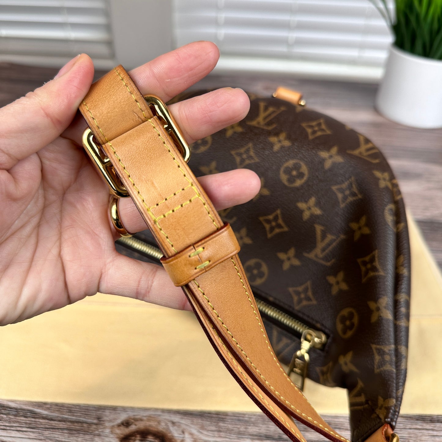 Louis Vuitton Monogram Bum Bag