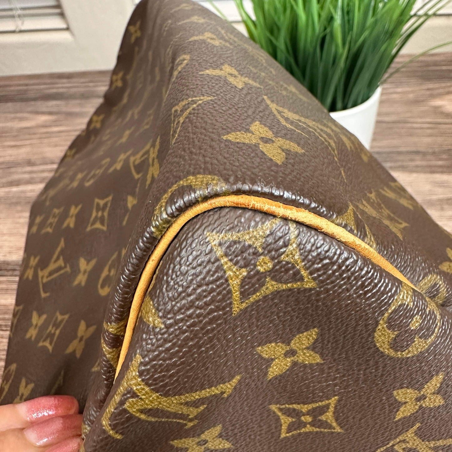 Louis Vuitton Speedy 30 Monogram