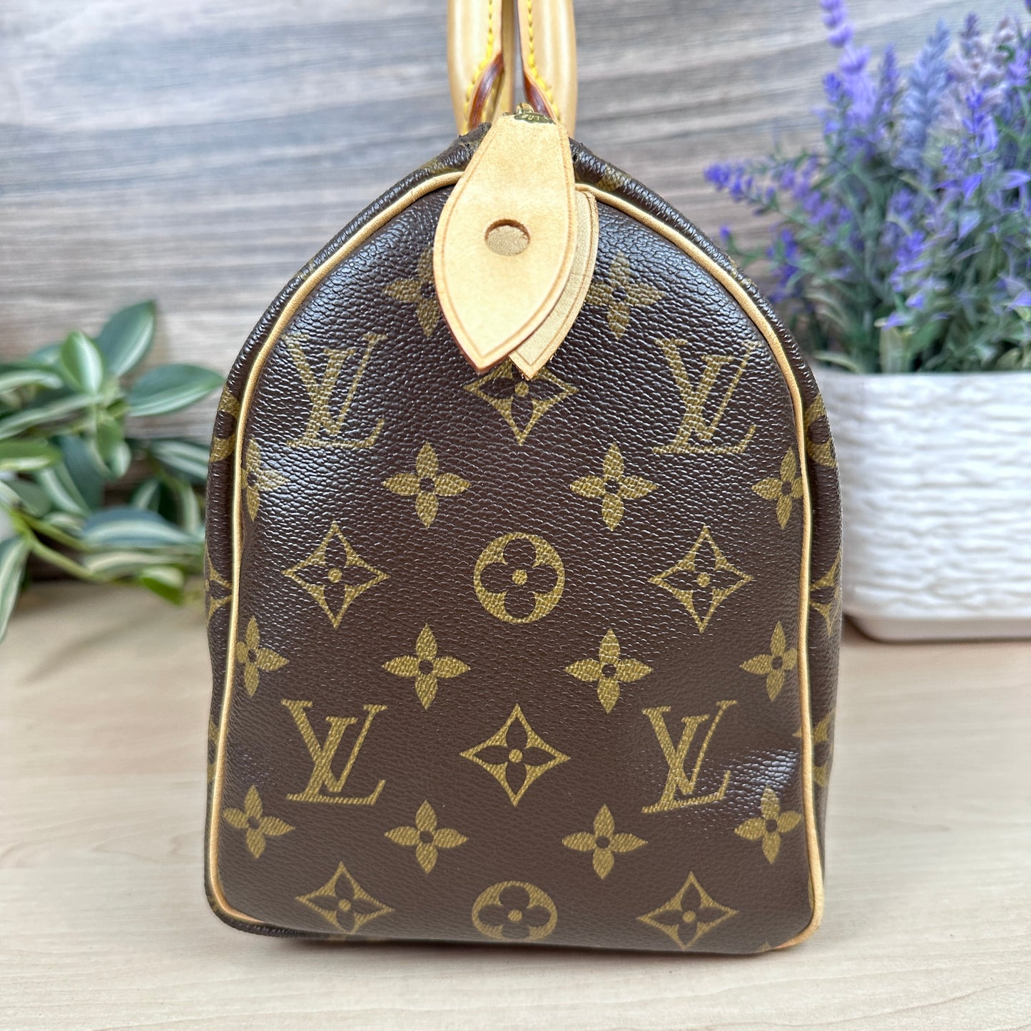 Louis Vuitton Speedy 25 Monogram