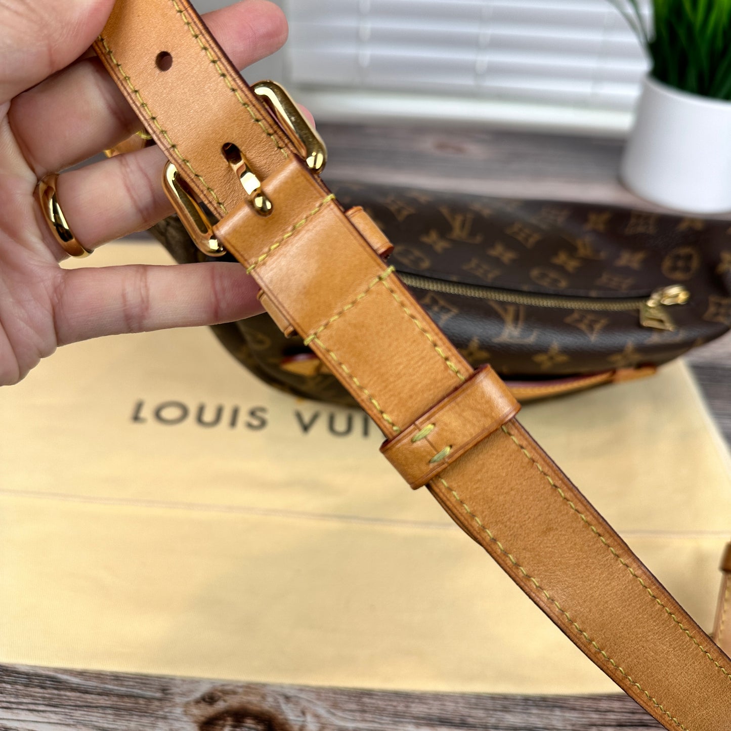 Louis Vuitton Monogram Bum Bag