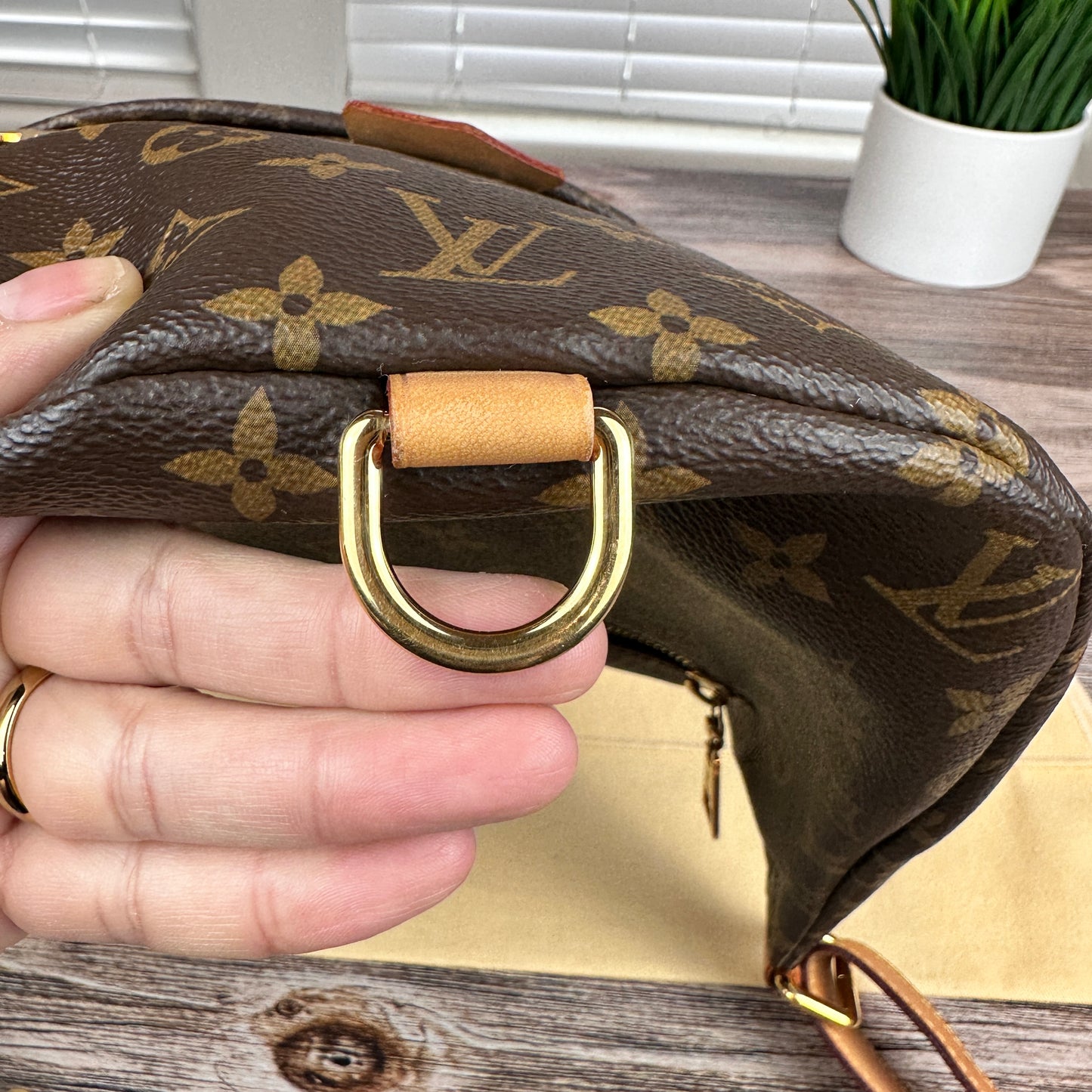 Louis Vuitton Monogram Bum Bag