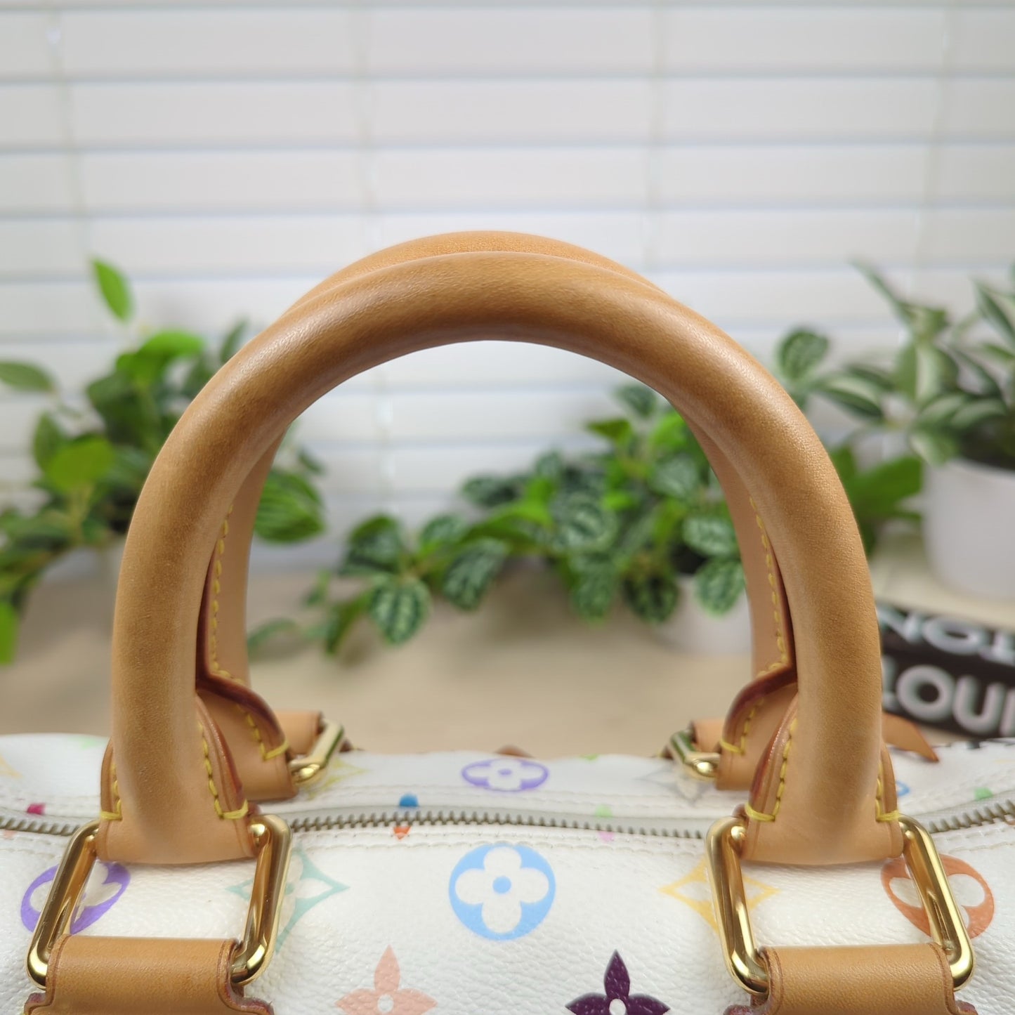 Louis Vuitton Murakami White Multicolor Monogram Speedy 30