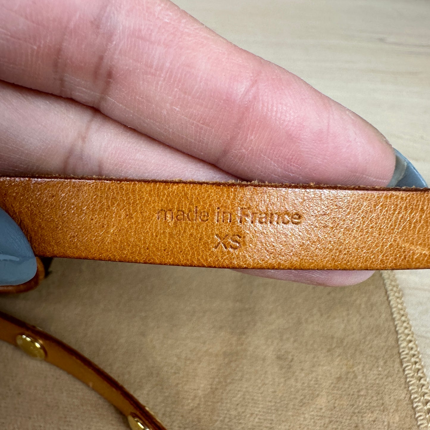 Louis Vuitton Florentine Pochette Belt Bag