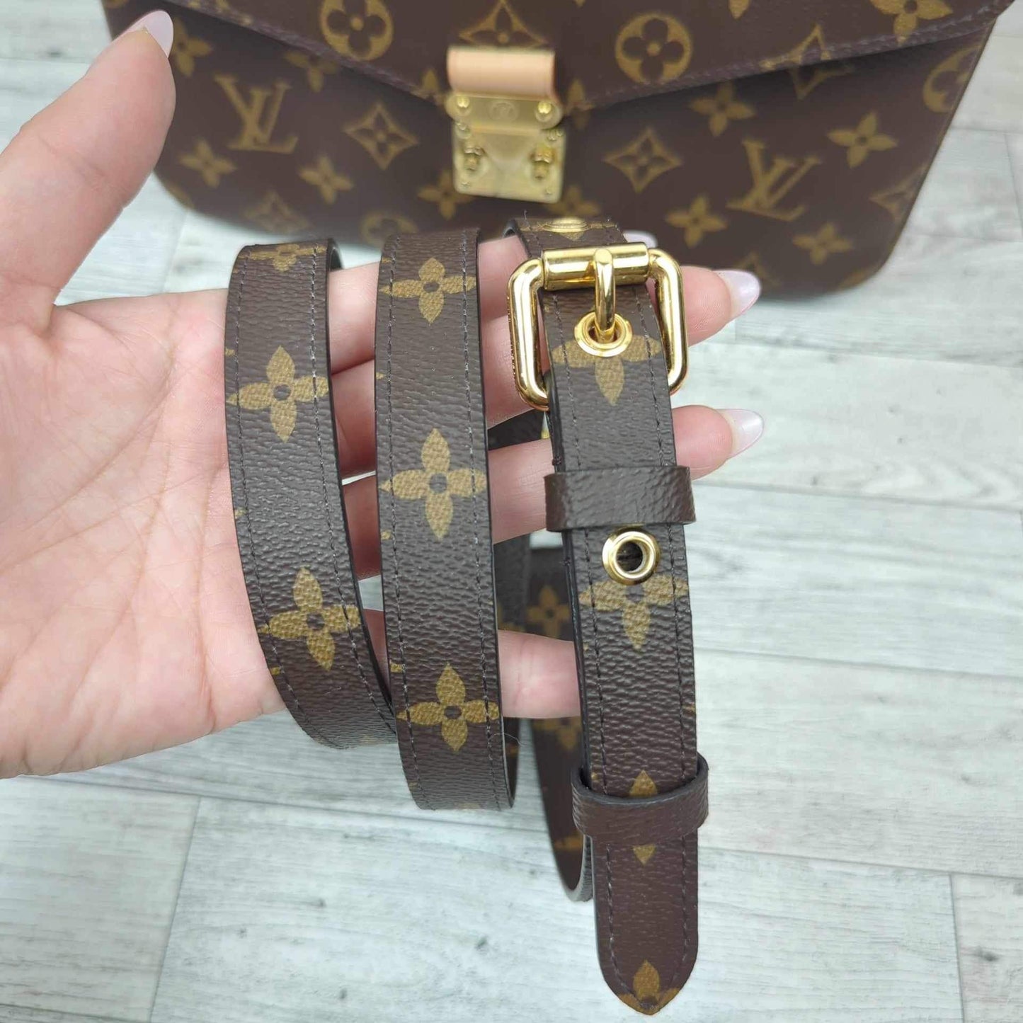 Louis Vuitton Monogram Pochette Metis