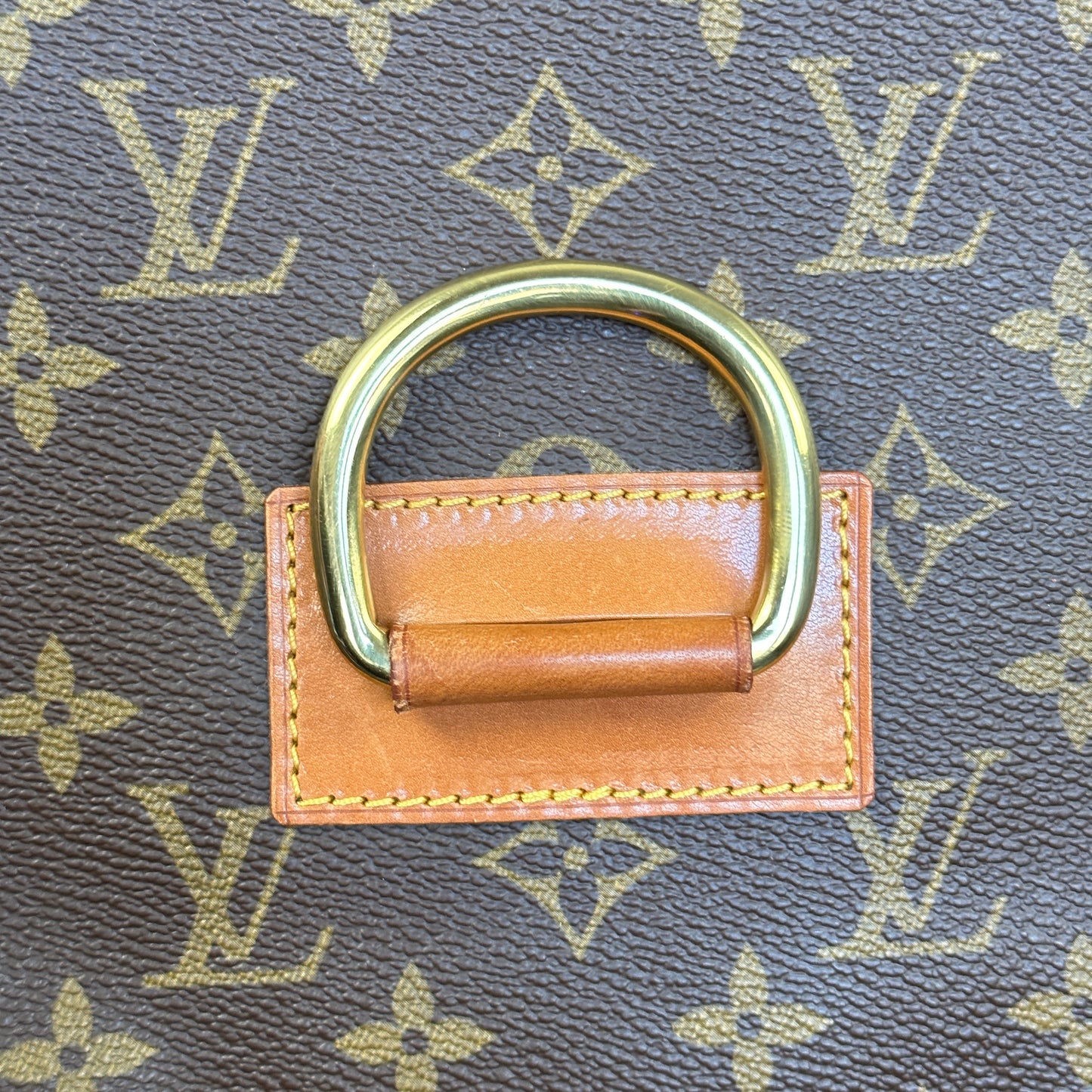 Louis Vuitton Lena Clutch