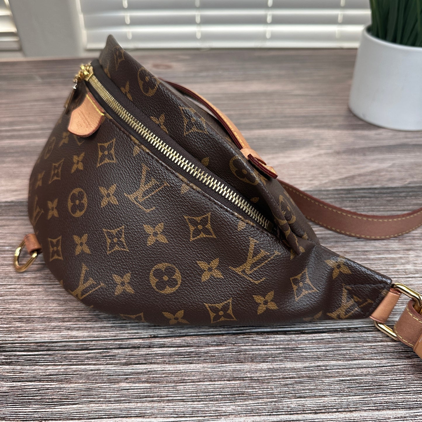 Louis Vuitton Monogram Bum Bag