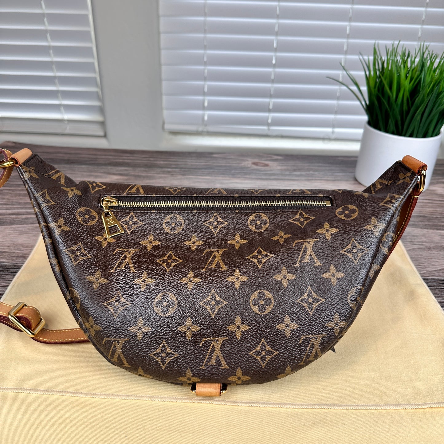 Louis Vuitton Monogram Bum Bag