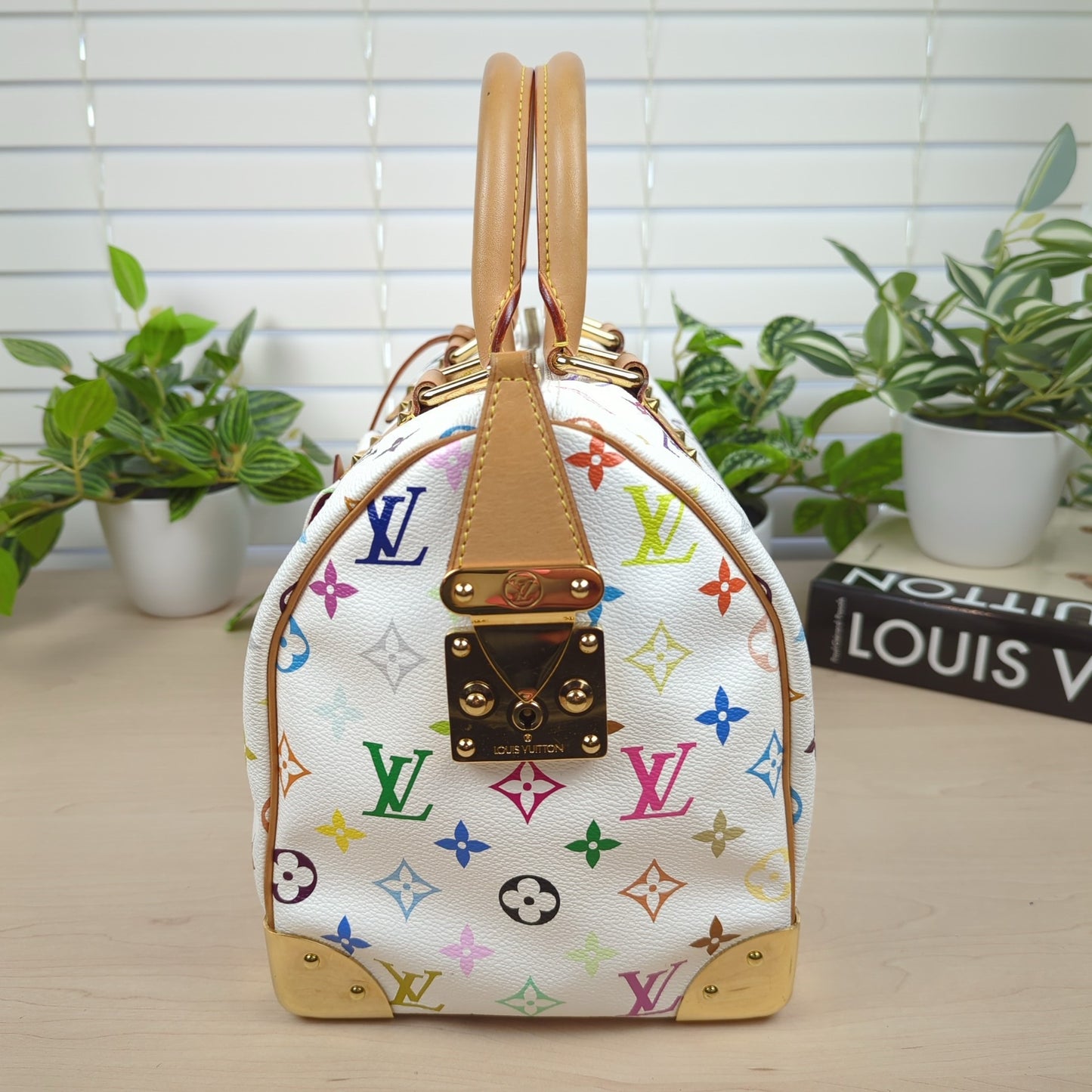 Louis Vuitton Murakami White Multicolor Monogram Speedy 30
