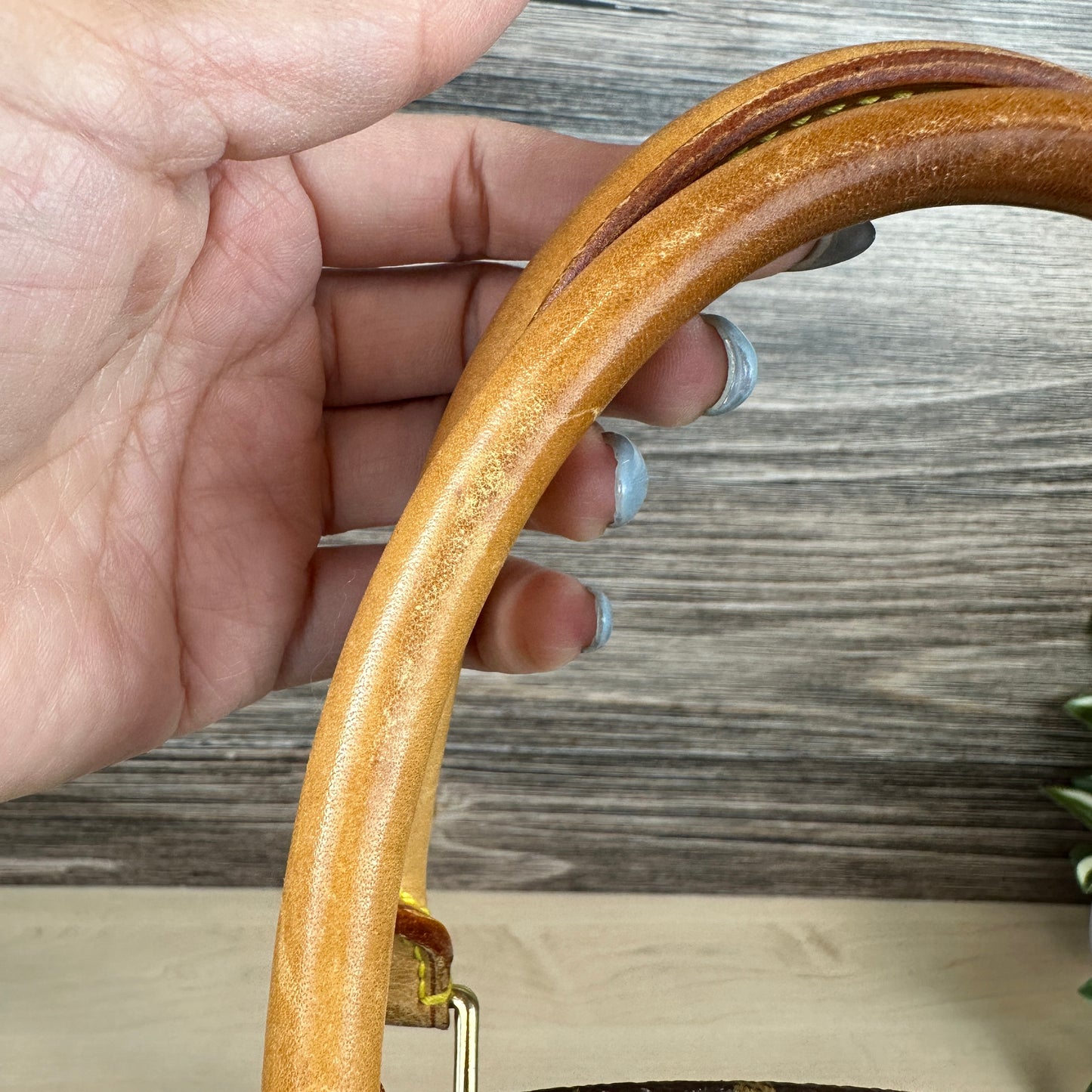 Louis Vuitton Ellipse MM