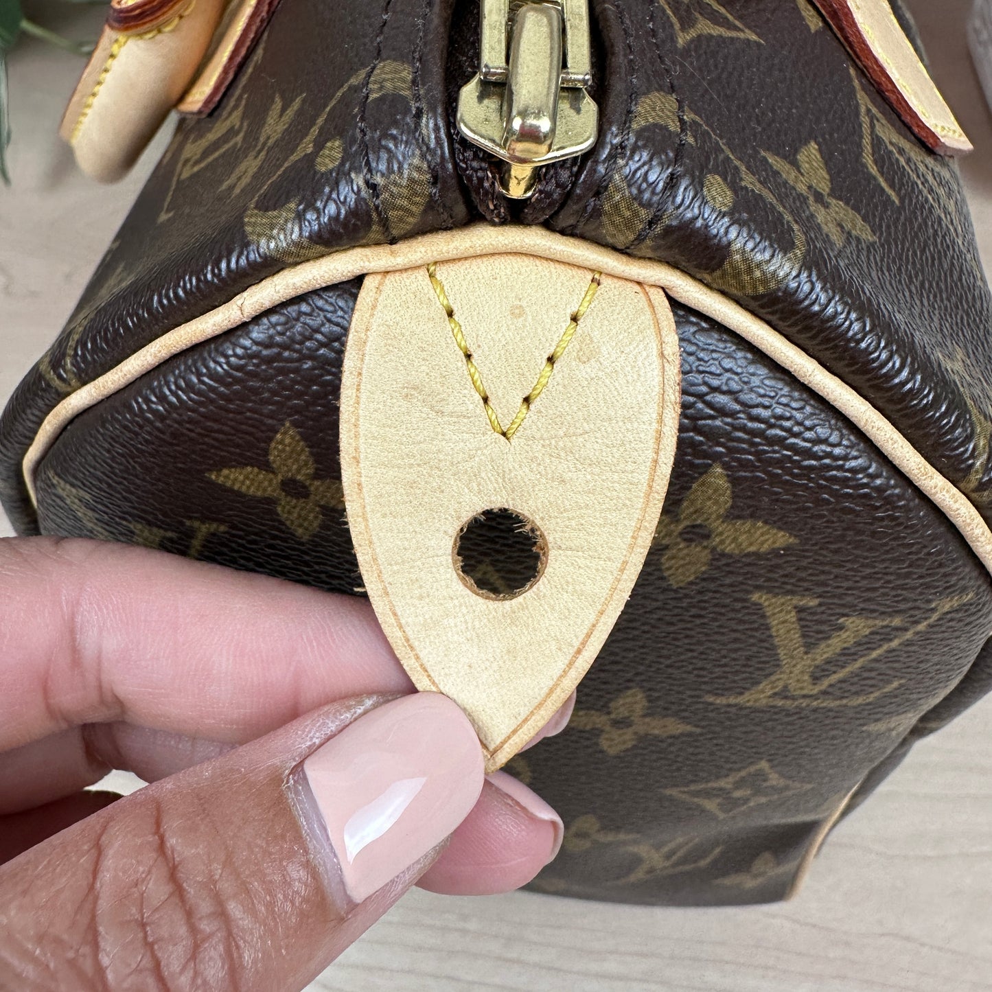 Louis Vuitton Speedy 25 Monogram