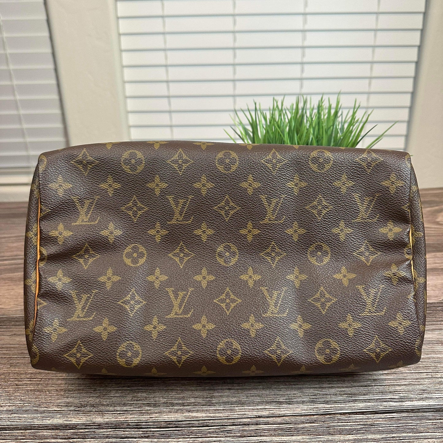Louis Vuitton Speedy 30 Monogram