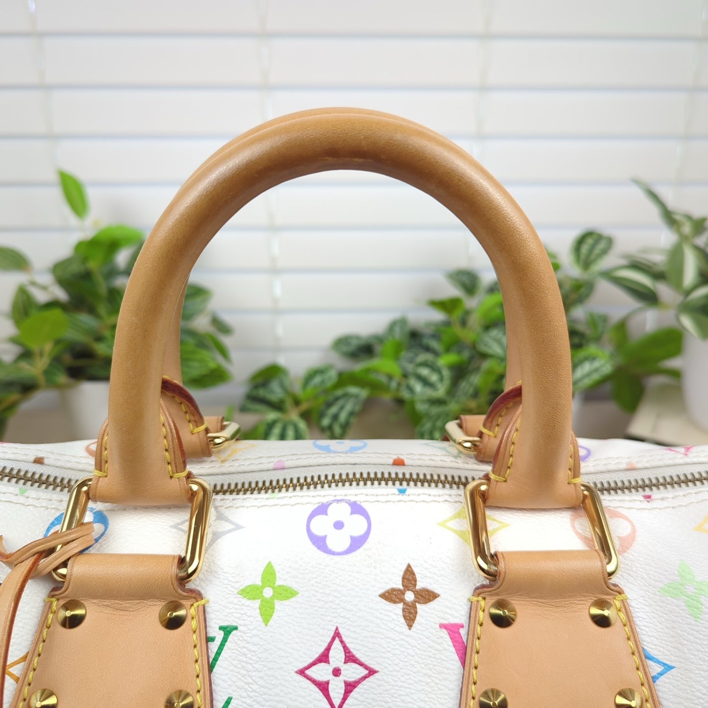 Louis Vuitton Murakami White Multicolor Monogram Speedy 30