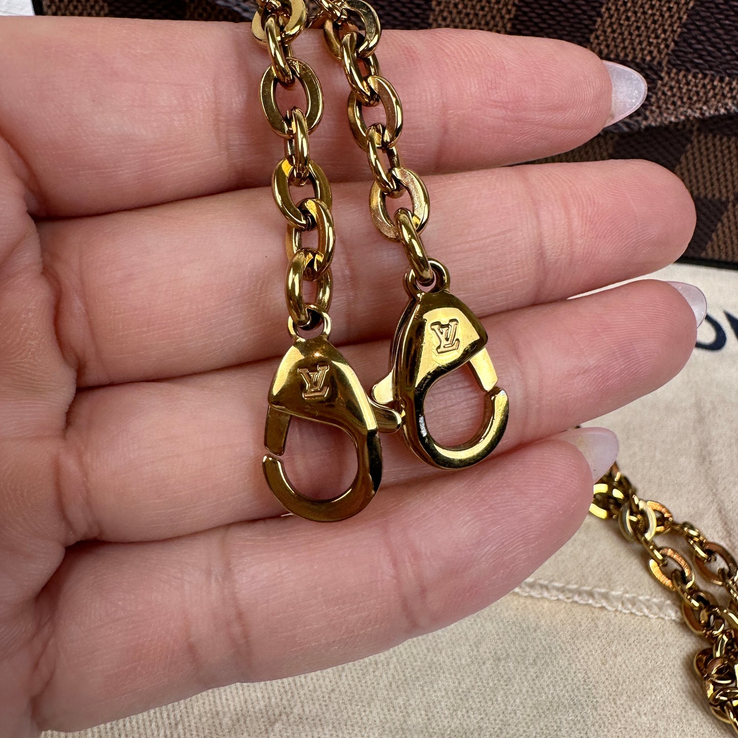 Louis Vuitton Félicie Pochette Damier Ebene