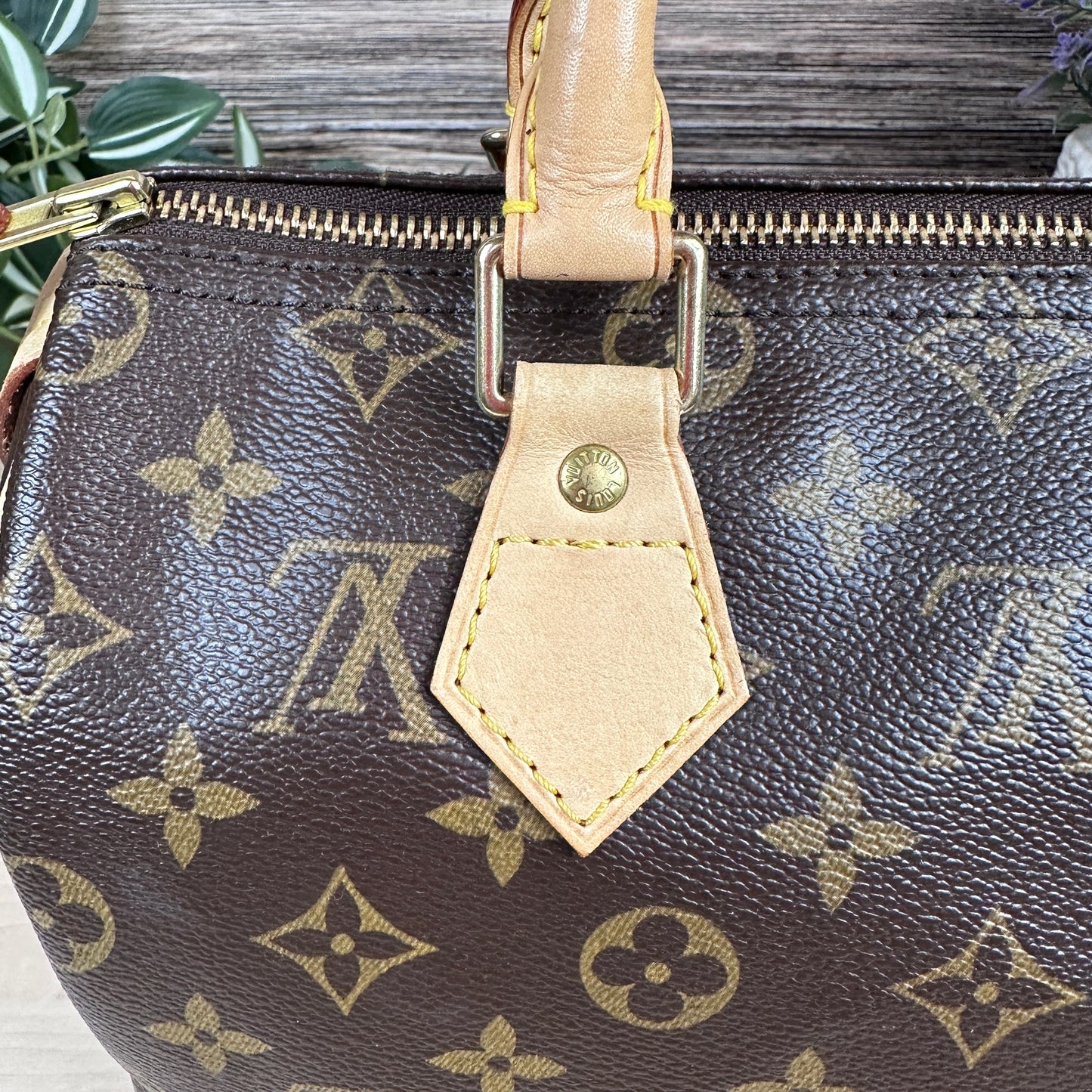 Louis Vuitton Speedy 25 Monogram