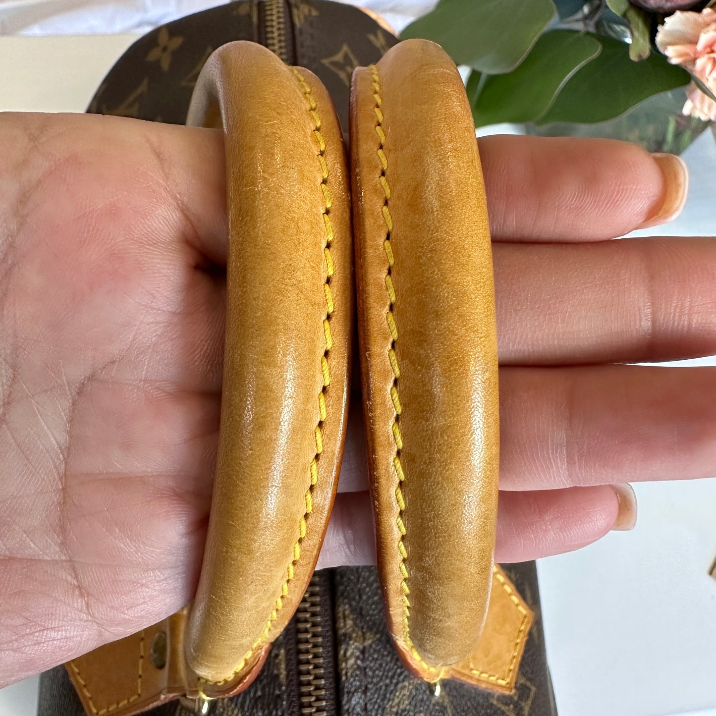 Louis Vuitton Monogram Speedy 30