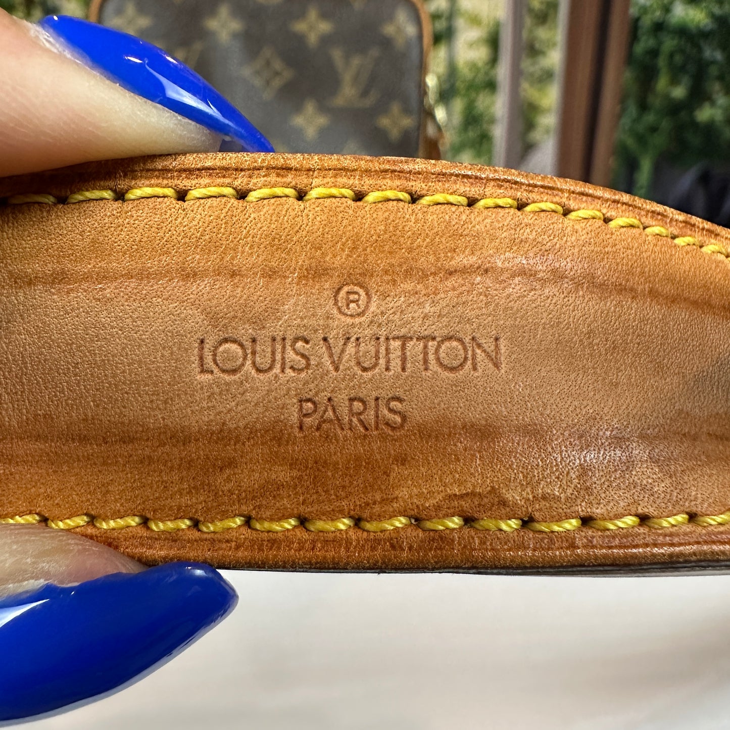 Louis Vuitton Monogram Amazone Crossbody Bag