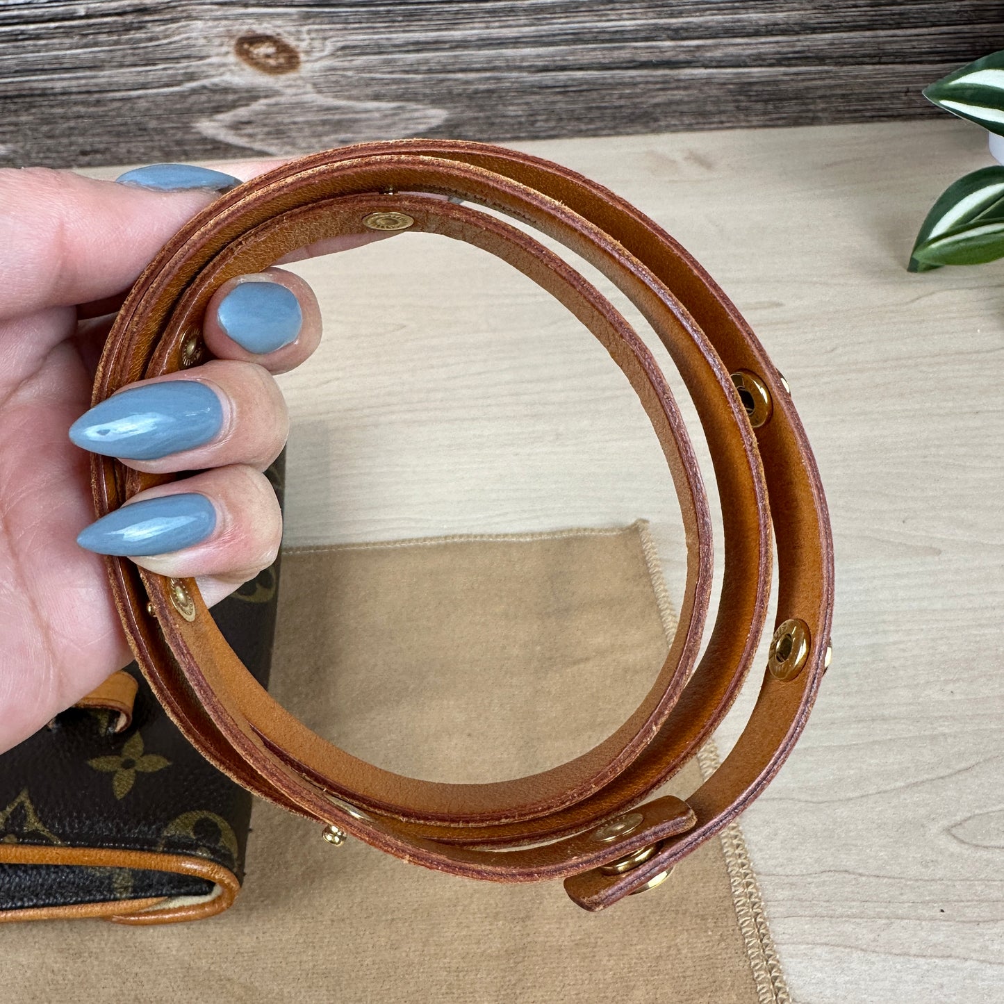 Louis Vuitton Florentine Pochette Belt Bag