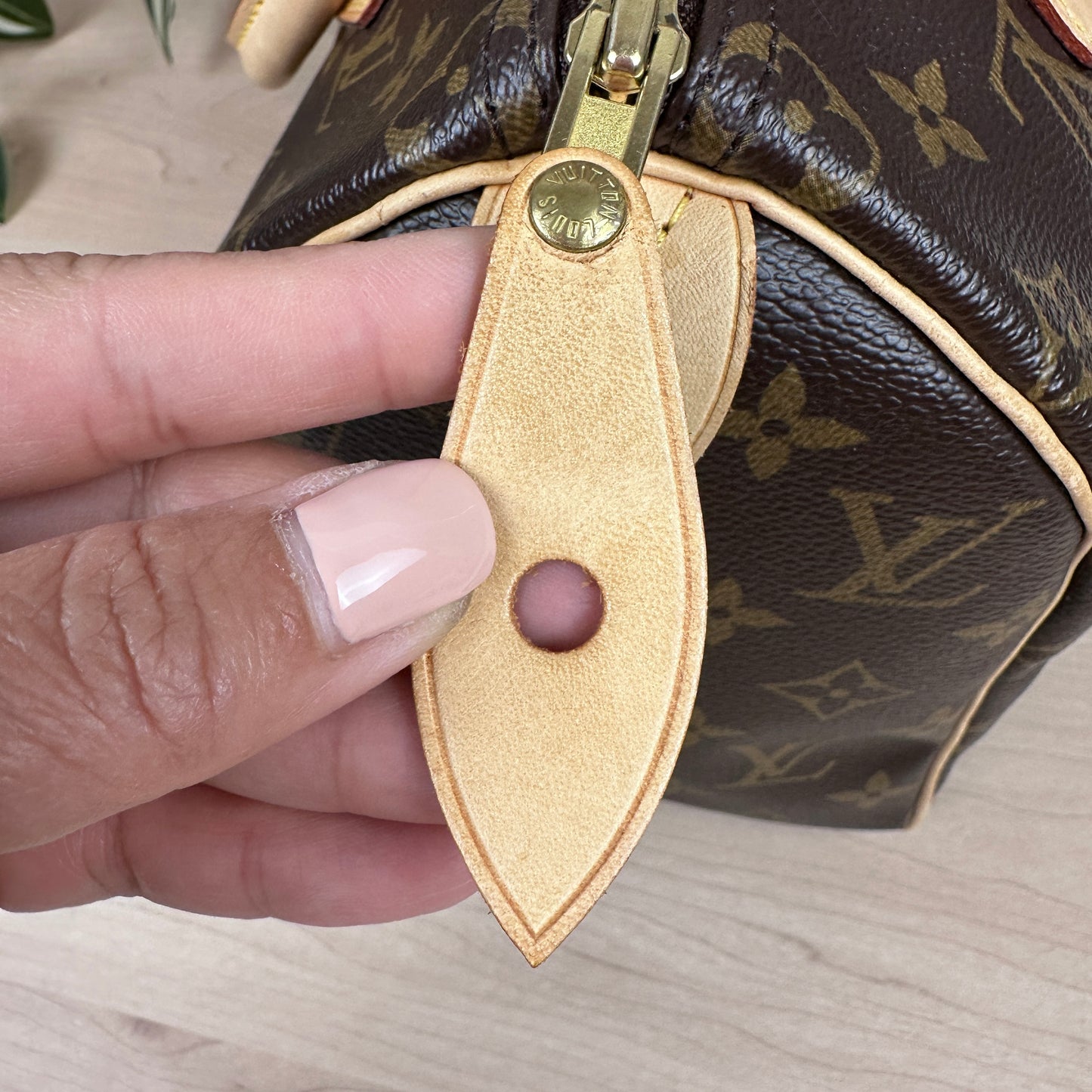 Louis Vuitton Speedy 25 Monogram