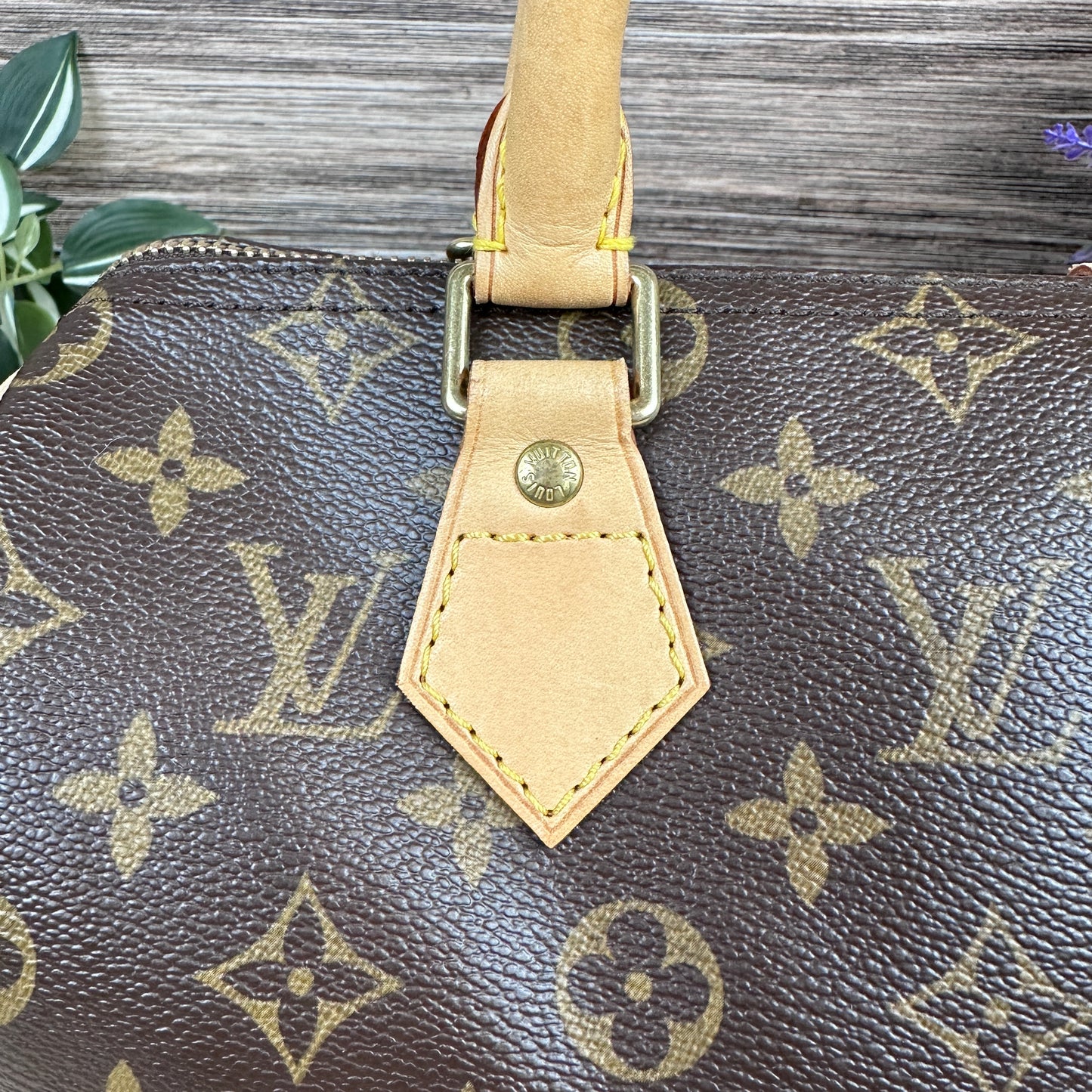 Louis Vuitton Speedy 25 Monogram