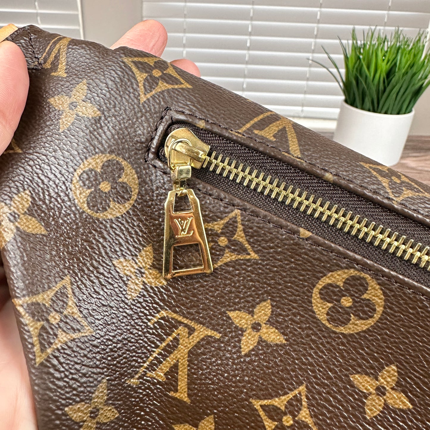 Louis Vuitton Monogram Bum Bag