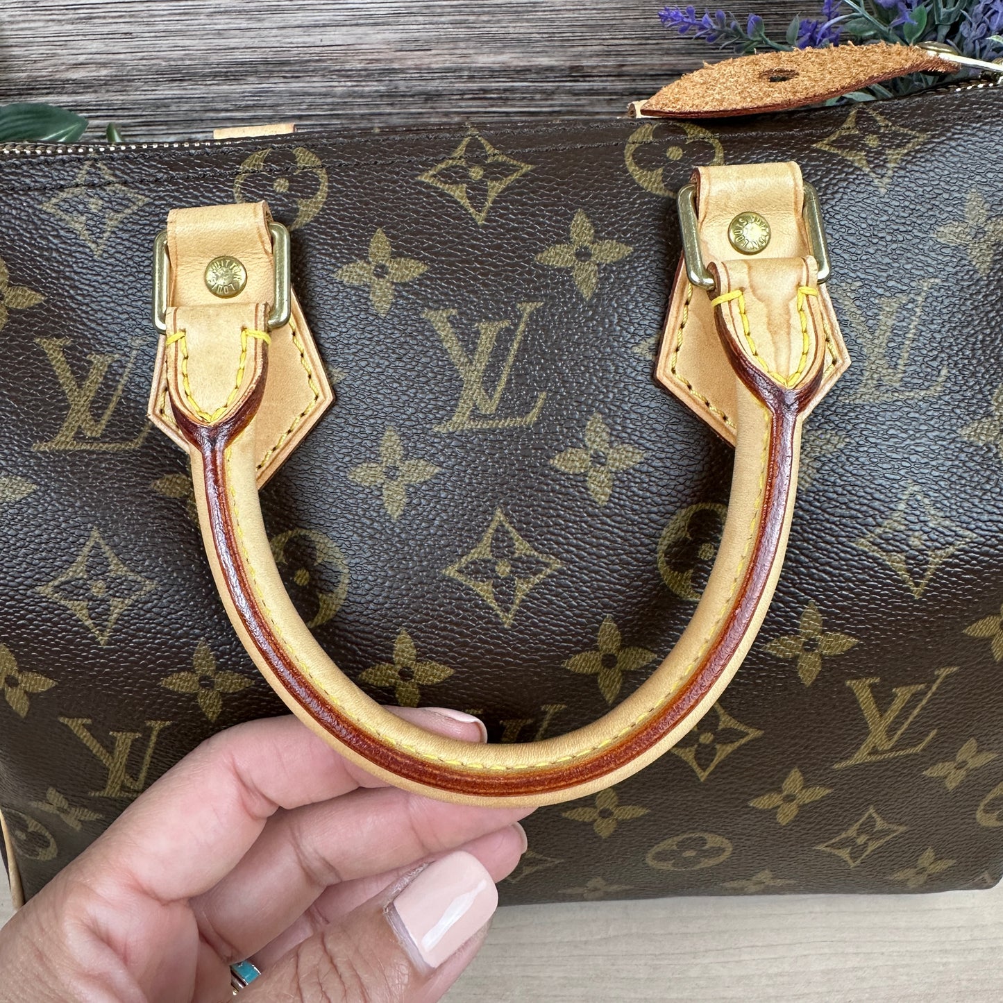 Louis Vuitton Speedy 25 Monogram