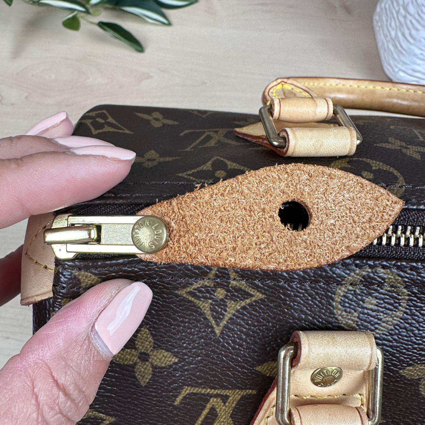 Louis Vuitton Speedy 25 Monogram