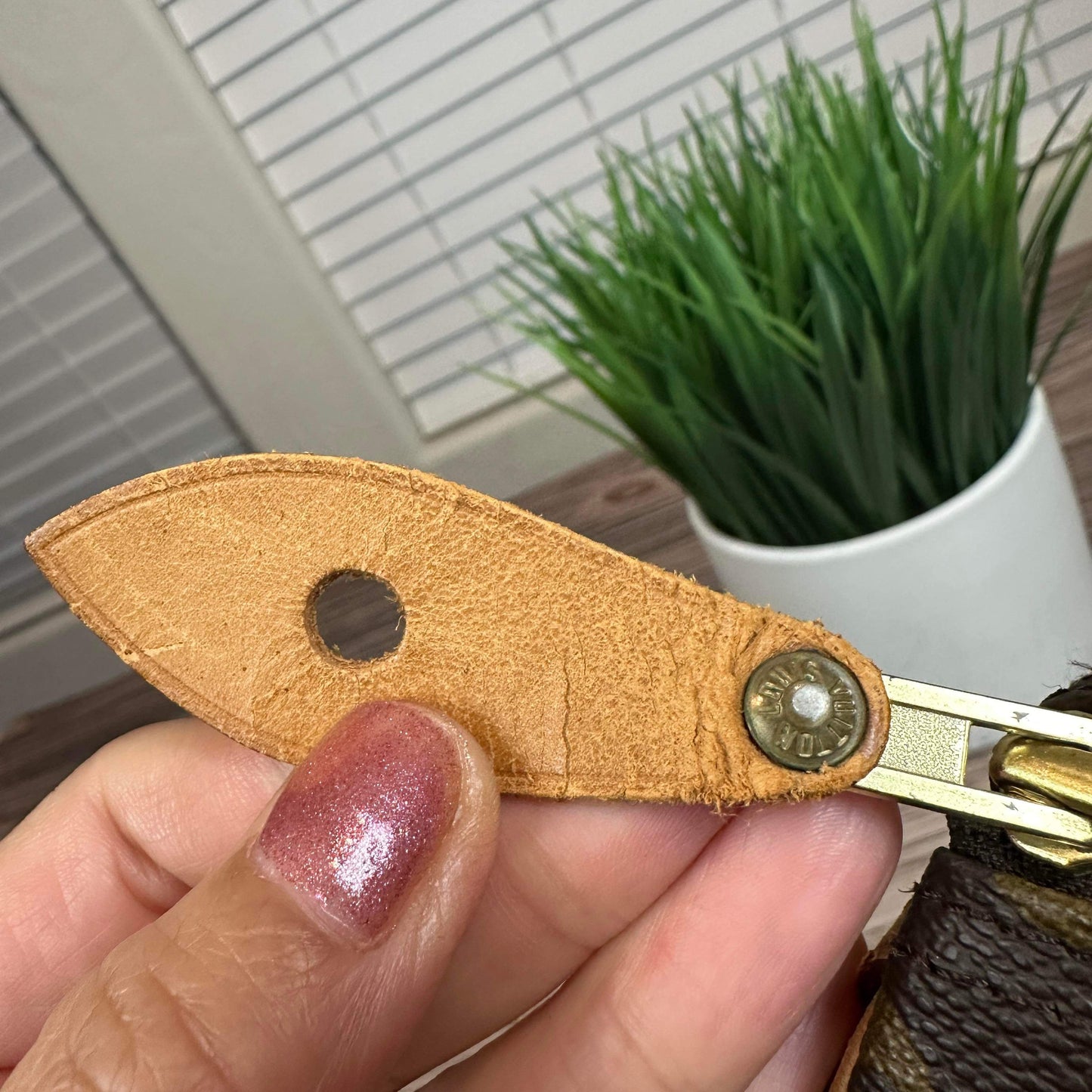 Louis Vuitton Speedy 30 Monogram