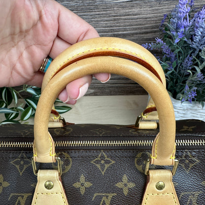 Louis Vuitton Speedy 25 Monogram