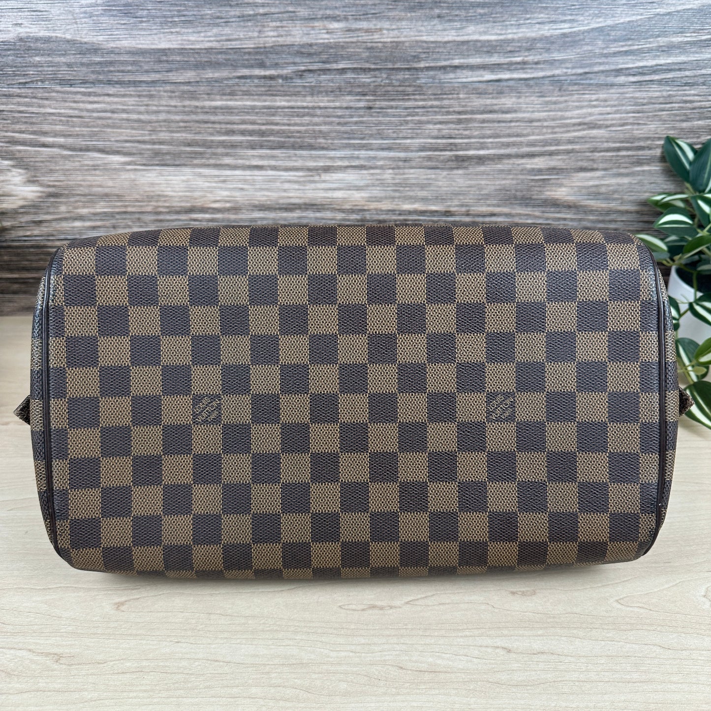 Louis Vuitton Damier Canvas Ribera MM Bag