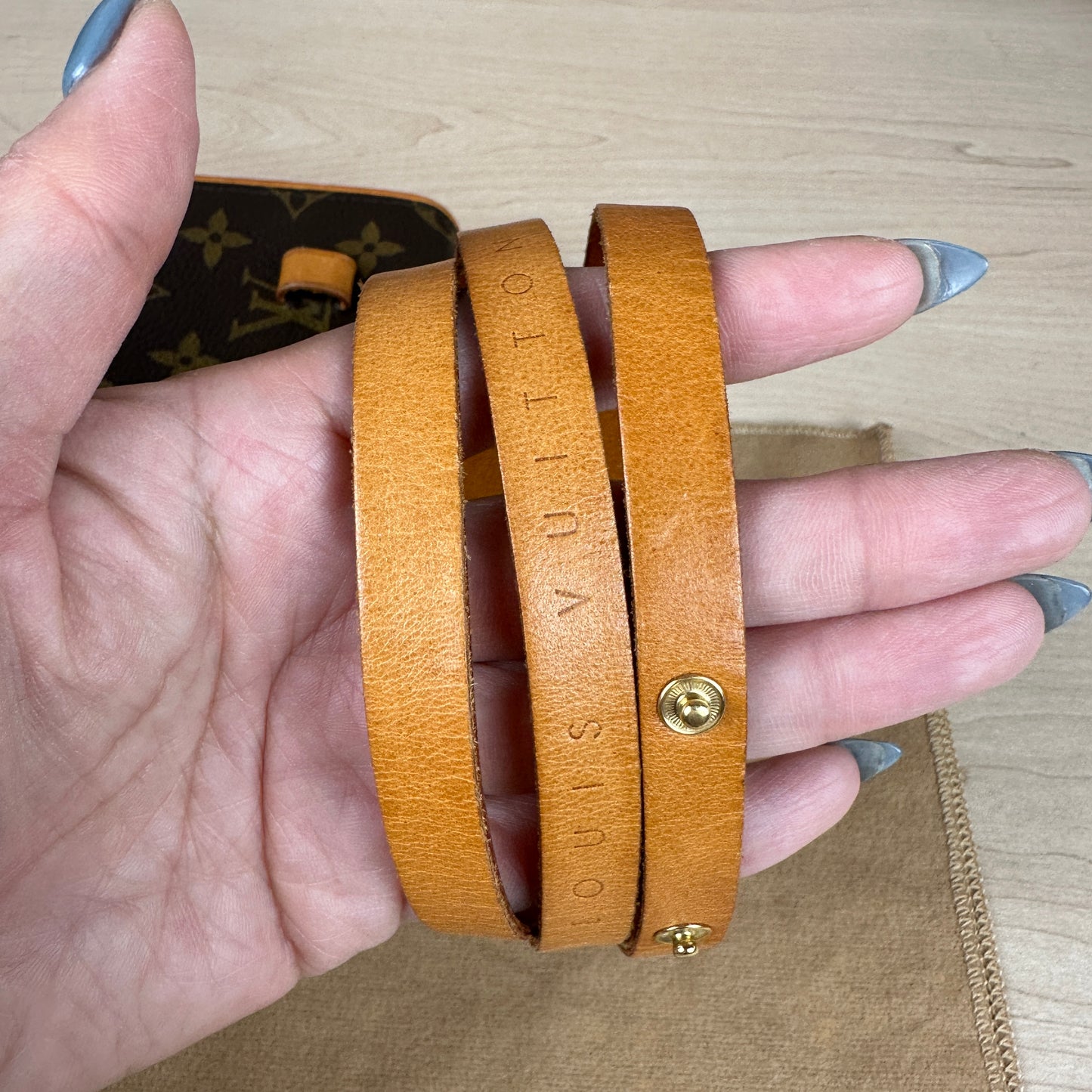 Louis Vuitton Florentine Pochette Belt Bag