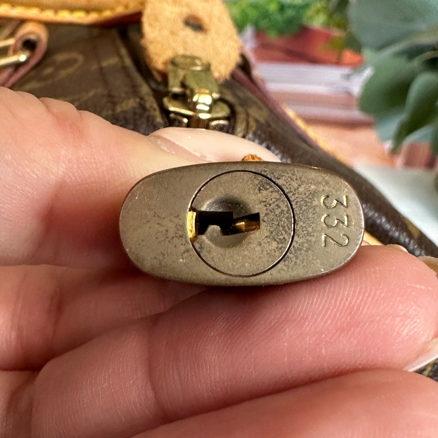 Louis Vuitton Monogram Speedy 30