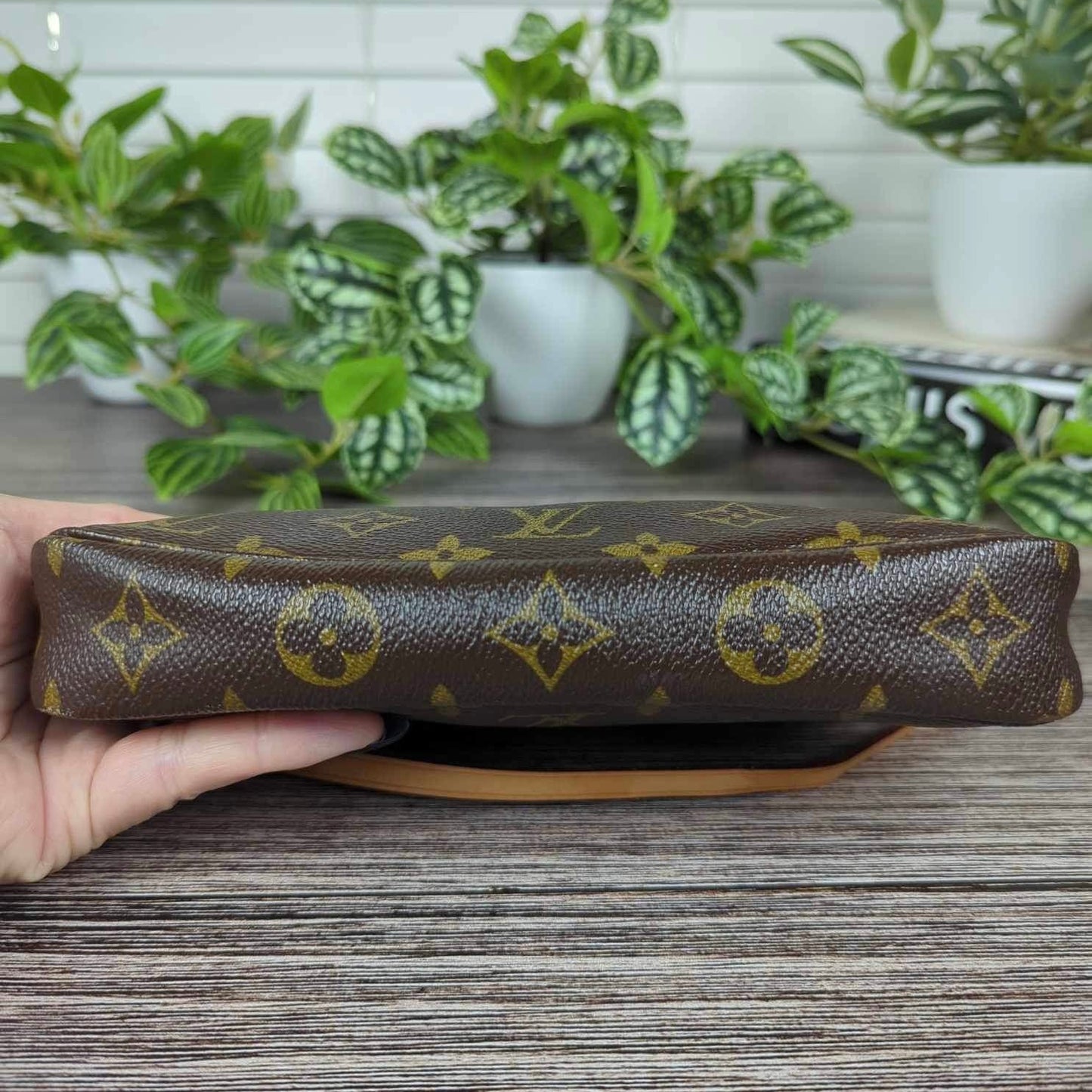 Louis Vuitton Pochette Accessories Monogram