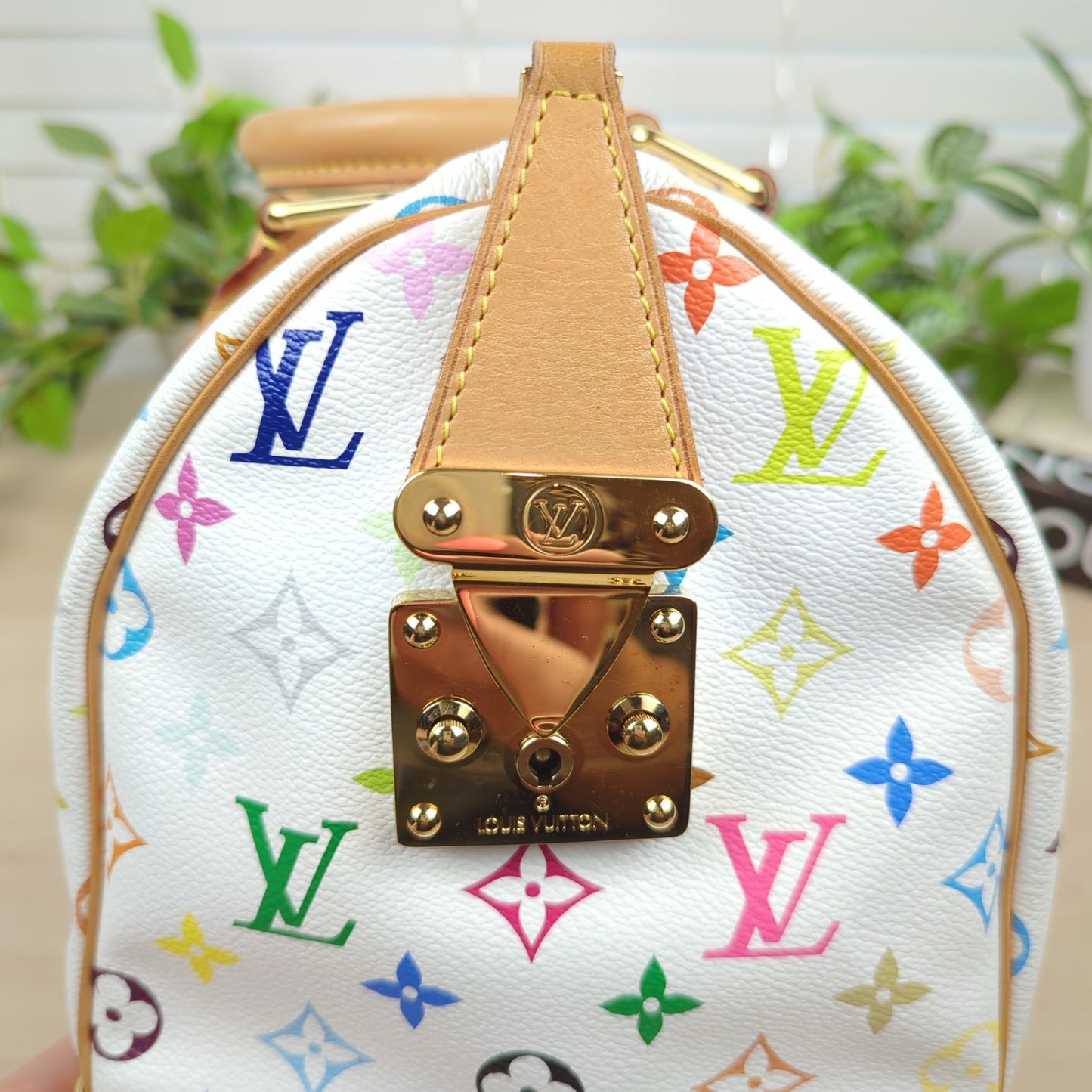 Louis Vuitton Murakami White Multicolor Monogram Speedy 30