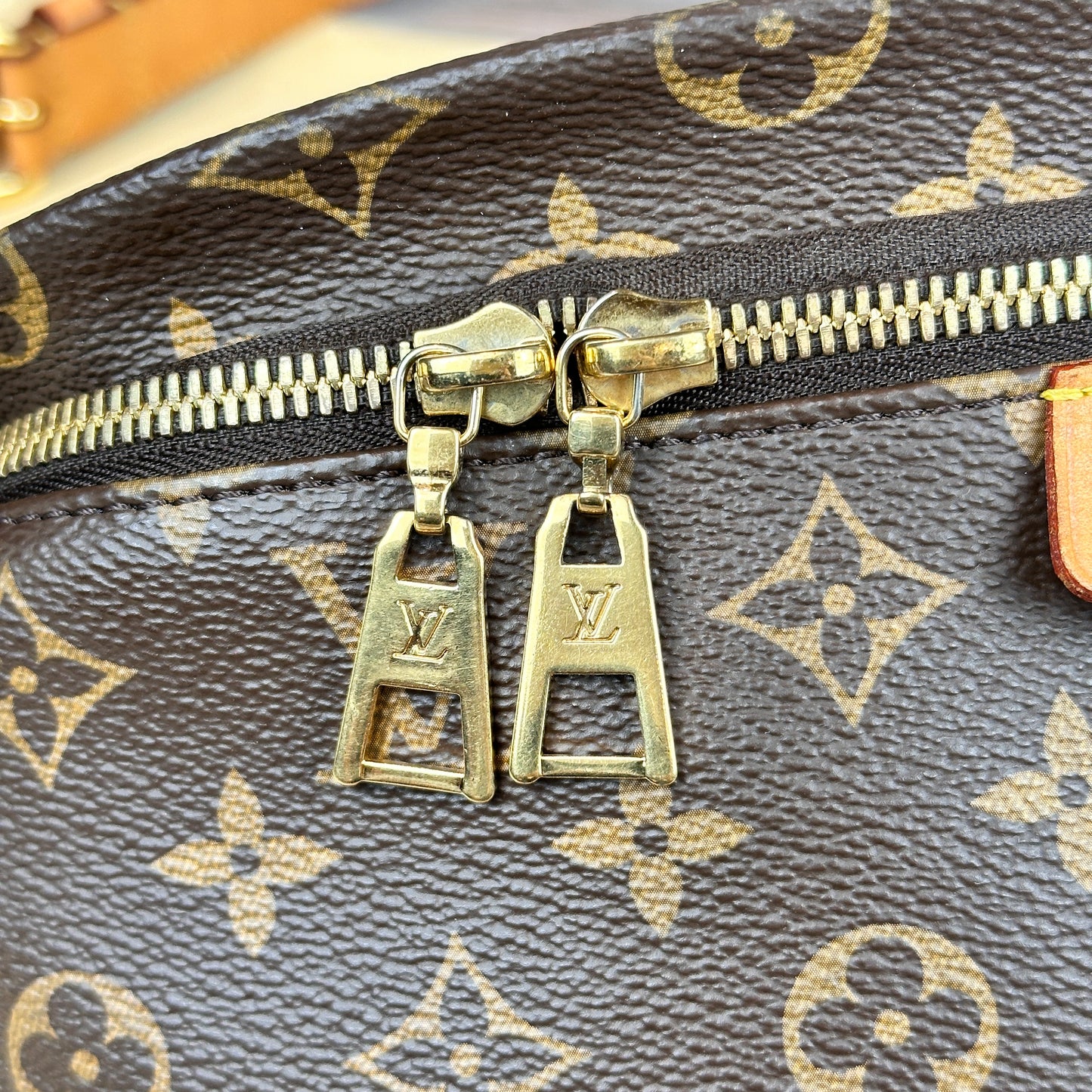 Louis Vuitton Monogram Bum Bag