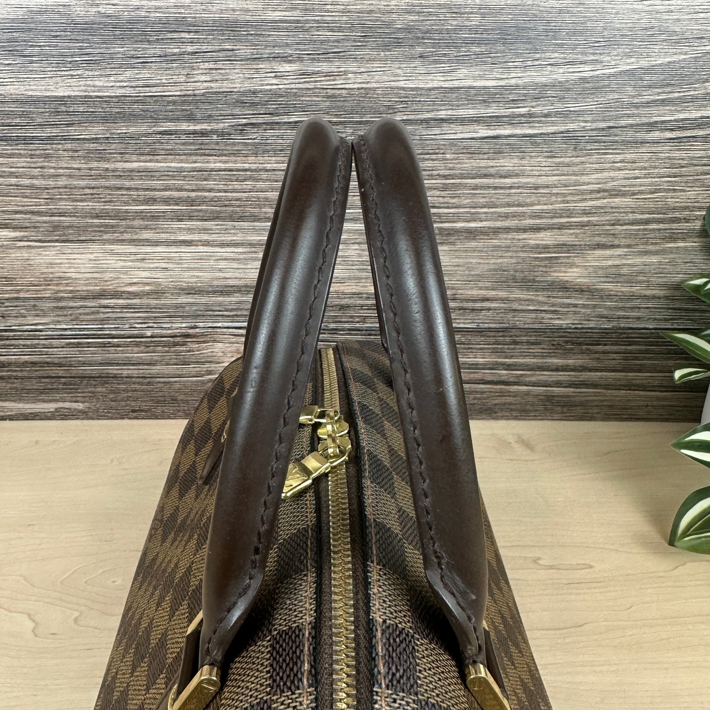 Louis Vuitton Damier Canvas Ribera MM Bag