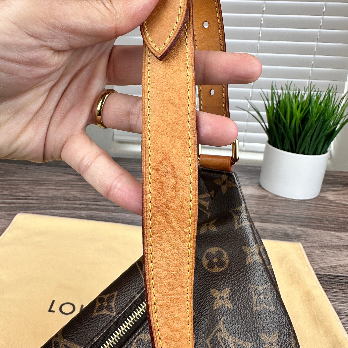 Louis Vuitton Monogram Bum Bag