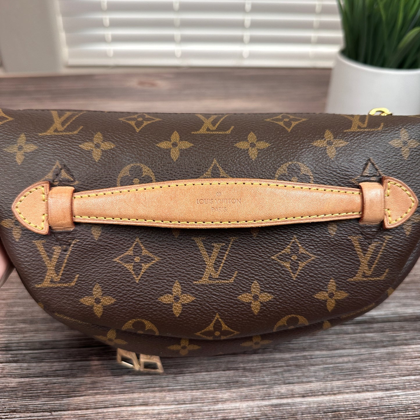 Louis Vuitton Monogram Bum Bag