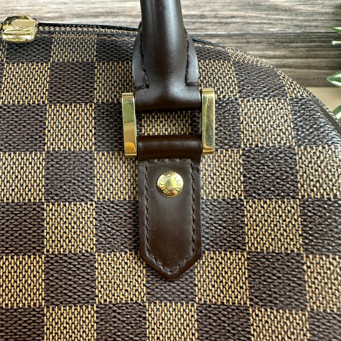 Louis Vuitton Damier Canvas Ribera MM Bag