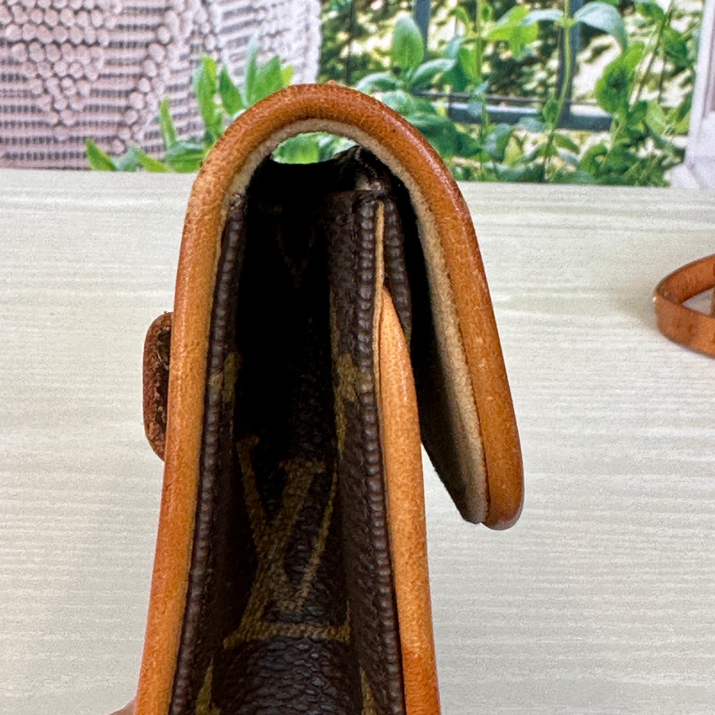Louis Vuitton Monogram Pochette Florentine