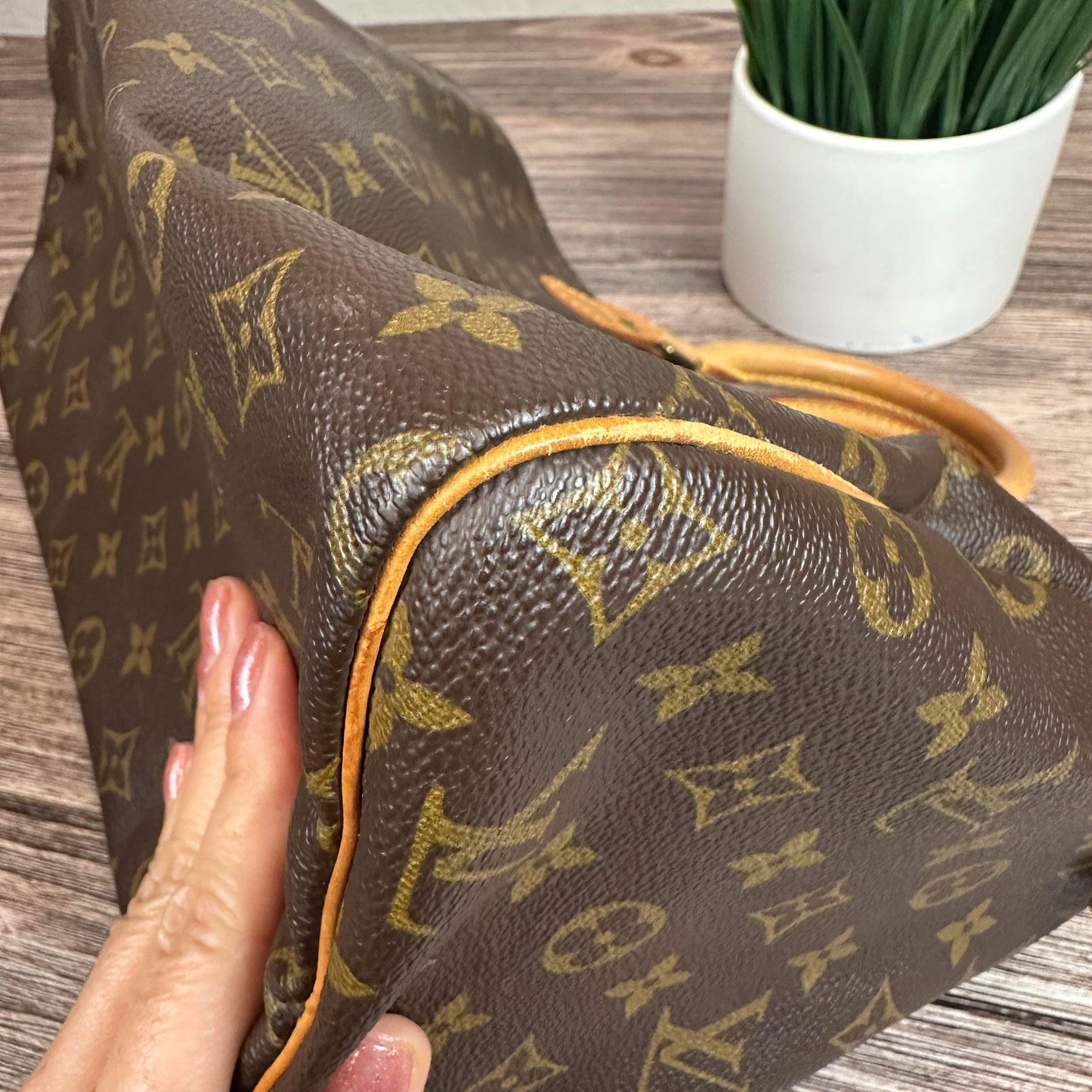 Louis Vuitton Speedy 30 Monogram