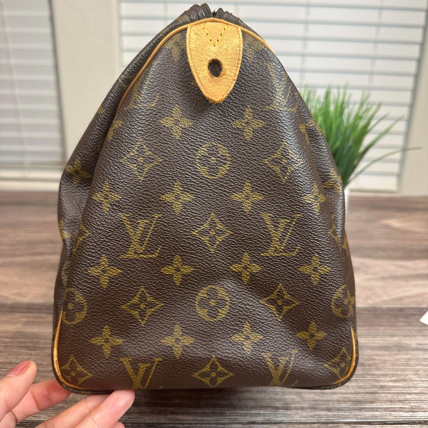 Louis Vuitton Speedy 30 Monogram