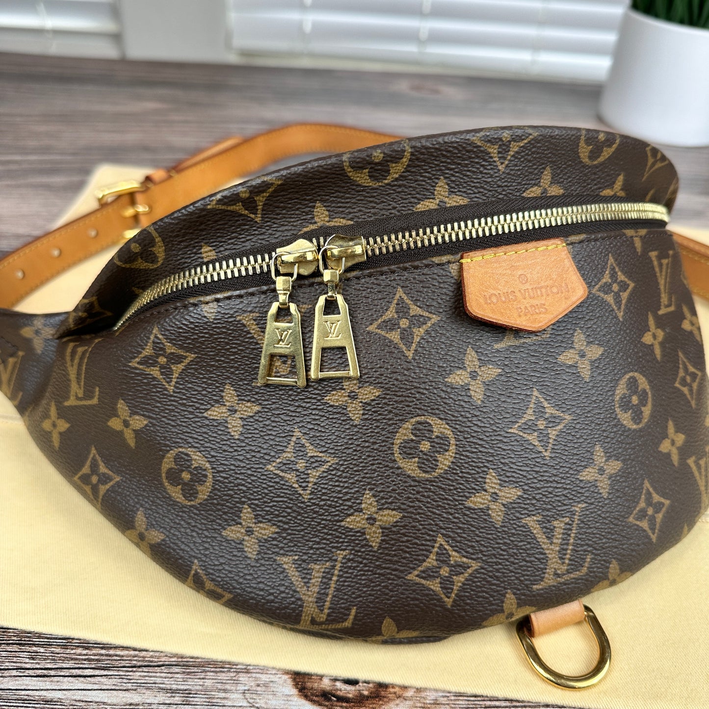 Louis Vuitton Monogram Bum Bag