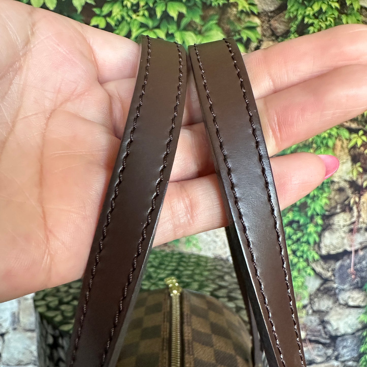 Louis Vuitton Damier Ebene Papillon 30