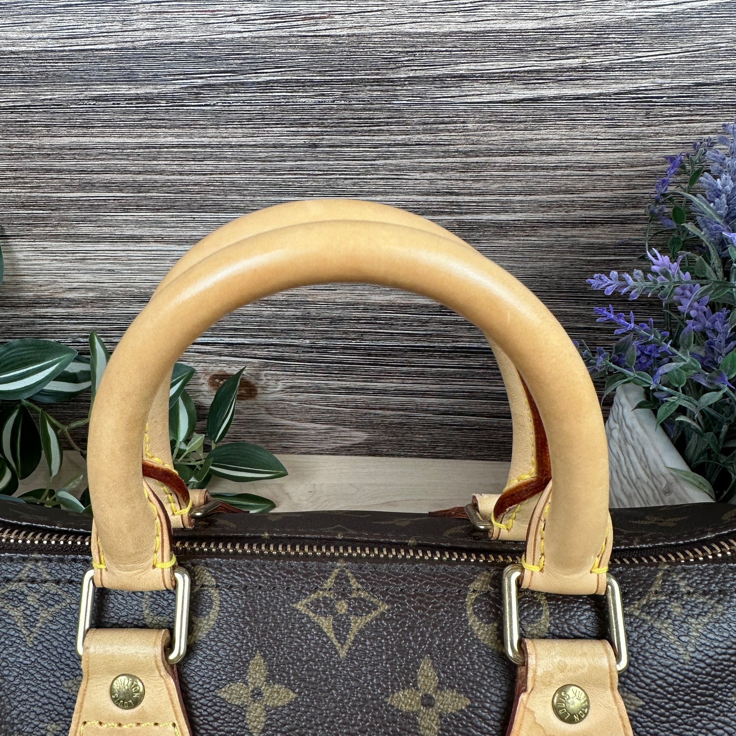 Louis Vuitton Speedy 25 Monogram