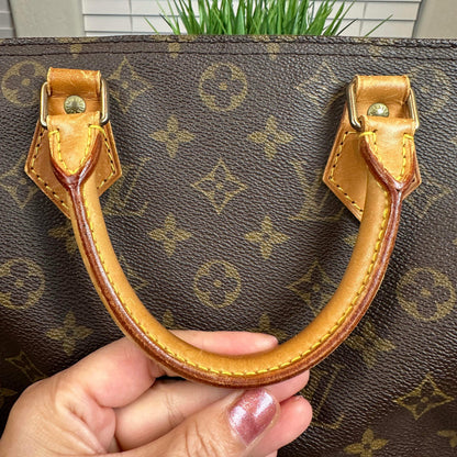 Louis Vuitton Speedy 30 Monogram