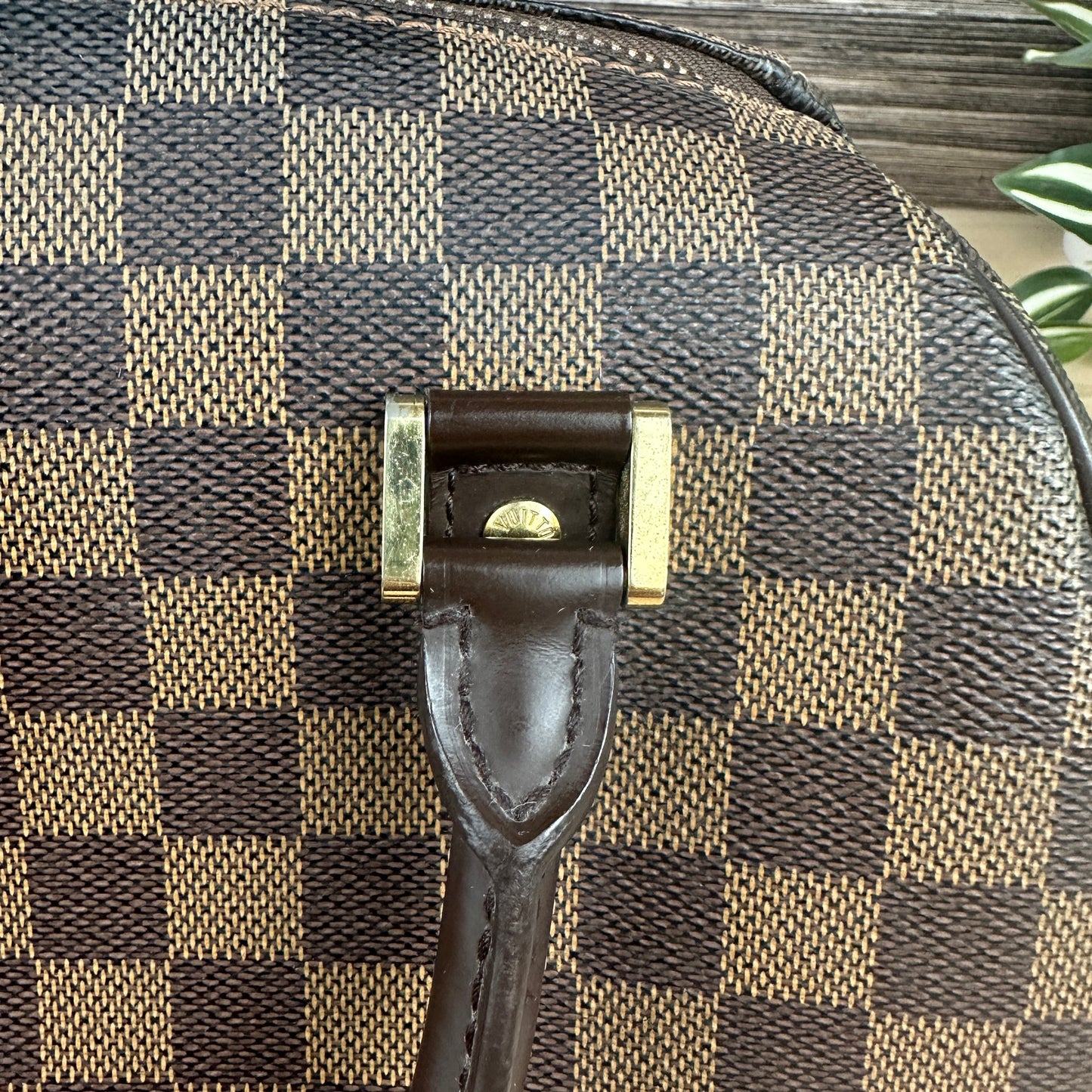 Louis Vuitton Damier Canvas Ribera MM Bag
