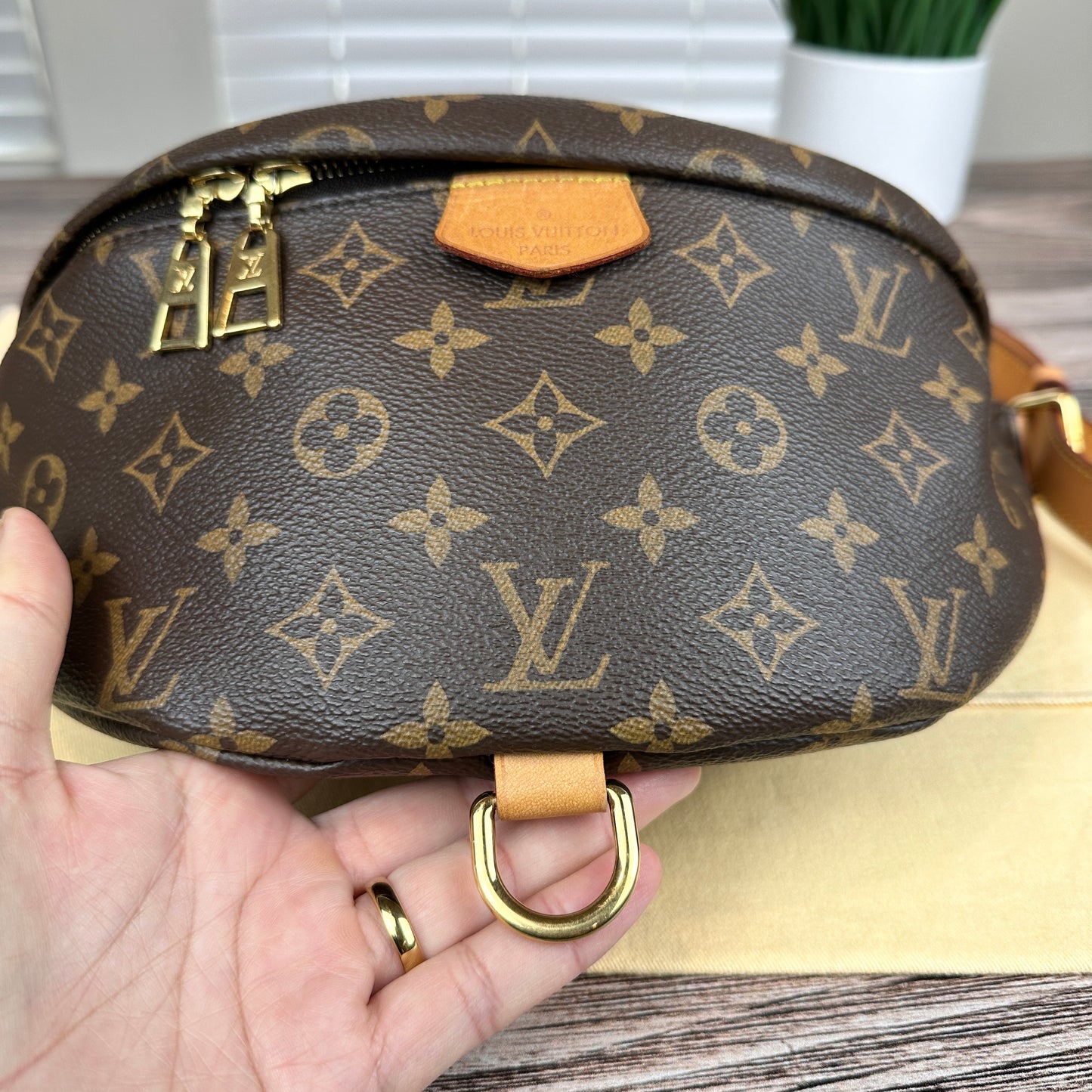 Louis Vuitton Monogram Bum Bag