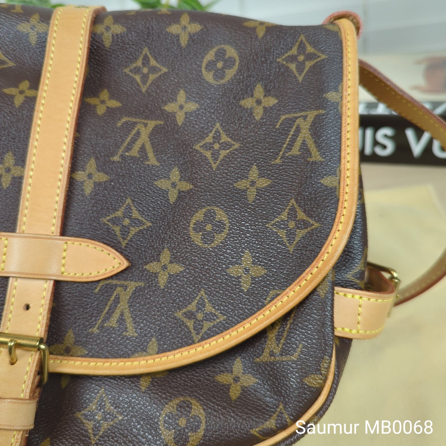 Louis Vuitton Monogram Saumur 30 Messenger Bag