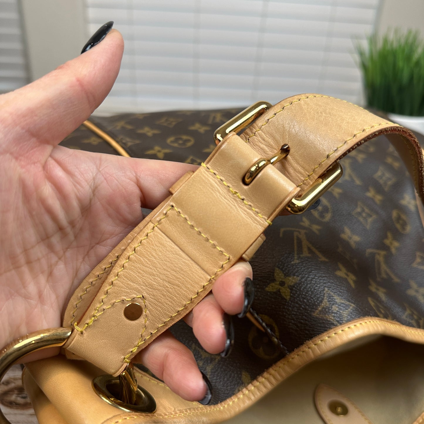 Louis Vuitton Monogram Galliera GM Hobo